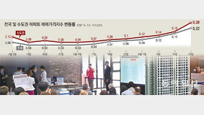“부동산 규제前 막차 타자”… 주간 아파트값 8년만에 최대폭 올라