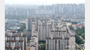 6·17대책에도 수도권 아파트값 상승폭↑…“중저가 매수세 이어져”