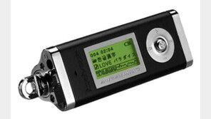 잘 나가던 동갑내기, '아이리버'와 '싸이월드'의 명암