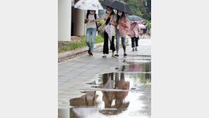 [날씨]토요일 아침까지 수도권 등 비…제주는 종일 내릴 듯