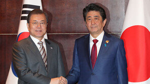 “韓, 친북-친중”…日, 한국의 G7 참여 반대하는 진짜 이유는