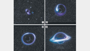 태양보다 2.6배 무거운 별… 너는 누구니?