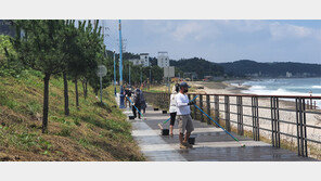 내달 공원 해제 ‘천안 일봉산’ 개발한다