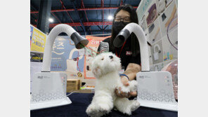 “강아지 드라이어 써보셨나요”