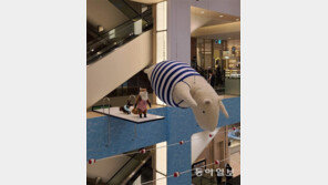 여름이다![고양이 눈]