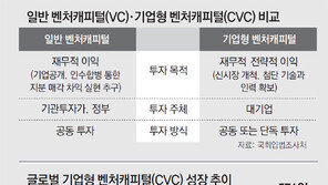 ‘금산 분리’에 발묶인 CVC… “혁신기업 육성, 규제 틀 벗어나야”[인사이드&인사이트]