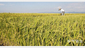 코로나가 바꾼 日 사무직의 귀촌 열풍… “재택근무 할거면 도시 떠나 시골로”