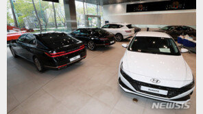 생활안정자금 융자 확대·車 개소세 30% 인하…하반기 달라지는 우리 생활