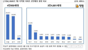 “분양가상한제 전에 하자”…내달 서울서 2만427세대 분양