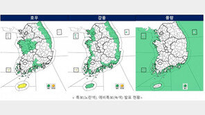 [날씨]29일 밤 전국 ‘태풍급 호우·강풍’…강원 등 일부 시간당 80㎜ 강한 비