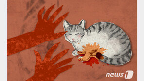 새끼고양이 다리 청테이프 감아 쓰레기 더미에… 20대 검거