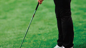 골프 여제 박세리 감독과 함께하는 제3회 동아CDM골프아카데미 오픈