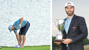 발벗은 존슨, 발뻗은 챔프