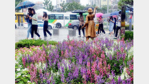 시원하게 내리는 장맛비