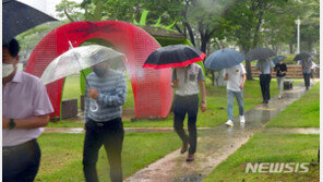 [날씨]밤까지 강풍·번개 동반 많은 비…최대 300㎜ 이상