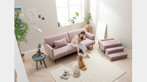 패브릭소파 에싸, 유기견 행복 나눔 캠페인 실시