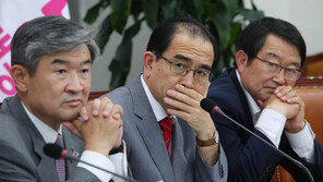 태영호 “6·25 추념식 애국가, 北 국가와 비슷해 내 귀 의심”