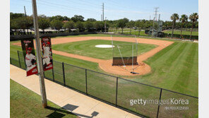 어필? 180cm 밖에서! ML, 안전 수칙 발표