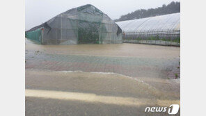 강릉 206mm 물폭탄…109년 만의 최대치 기록