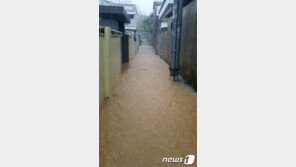 강릉 67년만의 대폭우에 주택가 곳곳 ‘물난리’