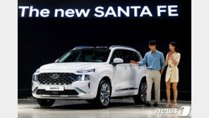 ‘더 뉴 싼타페’ 연간 판매목표 6만6000대…‘가족愛’ 마케팅으로 승부