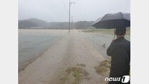 200㎜ 폭우 쏟아진 강릉서 20대 지적장애 남성 실종