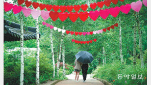 우산 위로 사랑이 주렁주렁