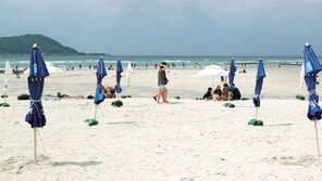2m 간격 파라솔… 주요 해수욕장 1일 개장
