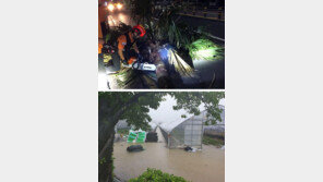 강풍 장마에 가로수 쓰러지고… 농경지 침수