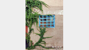 어떤 그림이 완성될까?[고양이 눈]