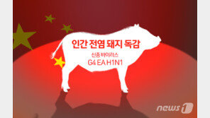 방역당국 “중국 돼지 독감, 즉각 위험 아니지만…면밀한 관찰 필요”