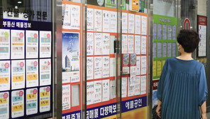 “똘똘한 한 채 사자” 대출규제에도…서울 아파트 매수문의 ‘폭발’