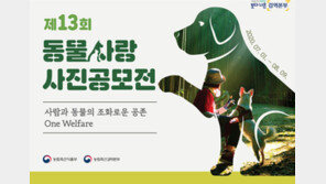 “참신한 아이디어 가진 반려인 모여라”