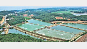 장어양식장에 3000만원 투자… 매달 100만원 수익