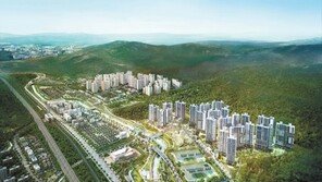 전매제한 규제 전 마지막 분양 단지… 스마트 자족신도시 가치까지 누린다