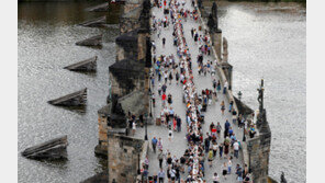 프라하 카를교 500m 길이 식탁