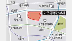 국립의료원, 중구 美공병단 터로 옮긴다