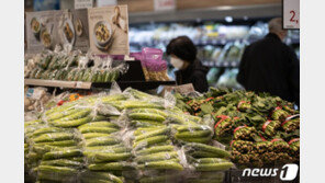 6월 소비자물가 ‘0%’…재난지원금 효과 ‘마이너스’ 탈출