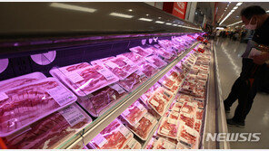 ‘재난지원금’으로 마이너스 물가 멈췄지만…저물가 여전