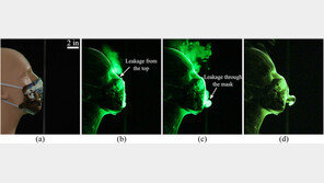 수제 천마스크,원뿔형 마스크 보다 “비말차단 더 효과적”