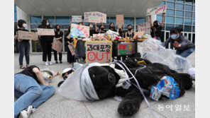 3일은 비닐봉투 없는 날…“과대포장 OUT!” 소비자들이 나섰다