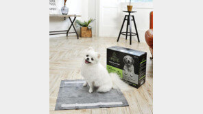 ‘펫콕족’ 증가에 애경산업 ‘휘슬’ 매출 176% 성장