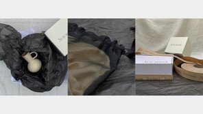 “구찌·프라다라도 저가격이면”…강민경, 쇼핑몰 가격 논란속 첫 배송