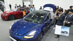 中 테슬라 공장서 LG화학 배터리 품귀…생산라인 조정 나선다