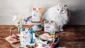 푹푹 찌는 여름…반려동물 ‘입맛’ 살려줄 보양식 먹여볼까