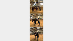 성유리, 말 위에 폴짝…승마에 푹 빠진 일상