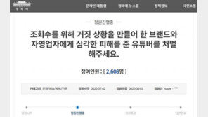 조회수에 눈먼 유튜버들 ‘더 세게’ 넘어 가짜까지…“책임 묻자” 靑청원