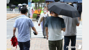 [날씨] 일요일 내륙 30도 안팎 더위…제주도 오후 장맛비