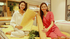 롯데백화점 “대자리로 침대와 거실 바닥을 시원하게”