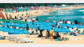 해수욕장 노마스크, 상가서 포커대회… 방역구멍 커졌다